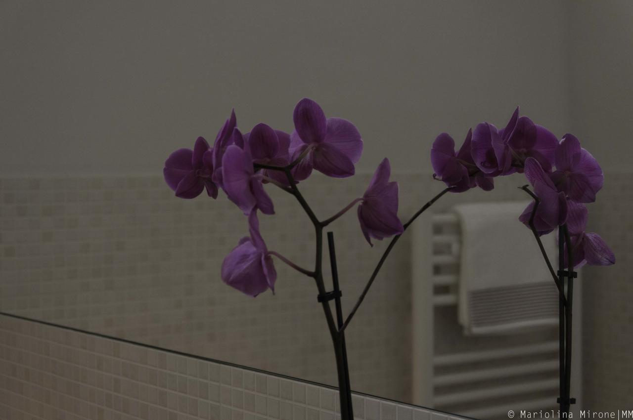 카타니아 I Balconi Sul Castello B&B 외부 사진